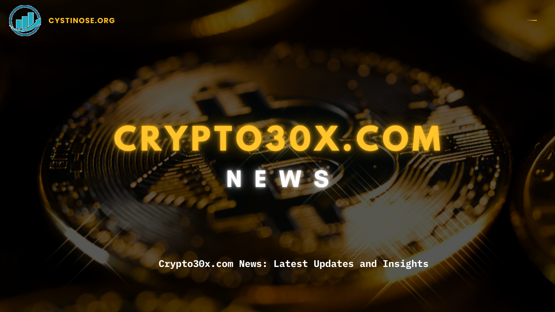 Crypto30x.com News: Latest Updates and Insights