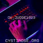 Understanding the Importance of ok_judge1923