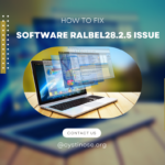 Understanding the Software Ralbel28.2.5 Issue