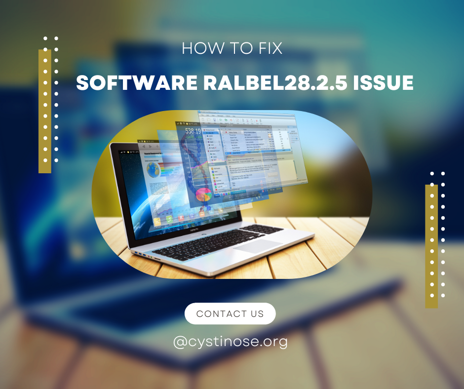 Understanding the Software Ralbel28.2.5 Issue