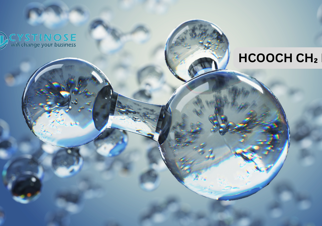 What is hcooch ch2 h2o?