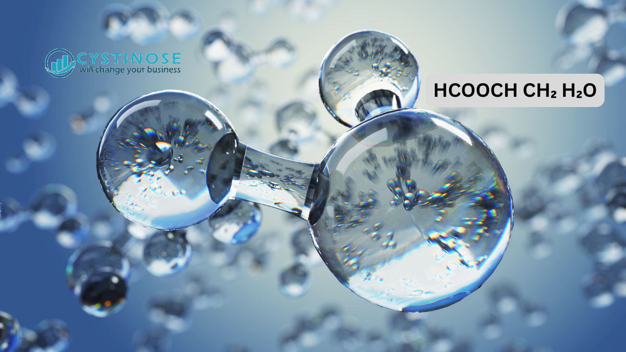 What is hcooch ch2 h2o?