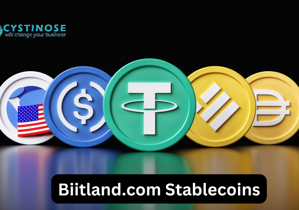 What Are Biitland.com Stablecoins and Why Do They Matter?