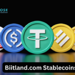 What Are Biitland.com Stablecoins and Why Do They Matter?