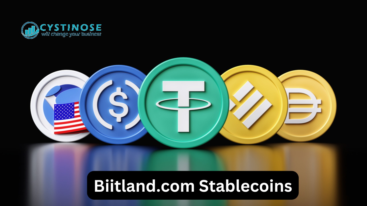 What Are Biitland.com Stablecoins and Why Do They Matter?