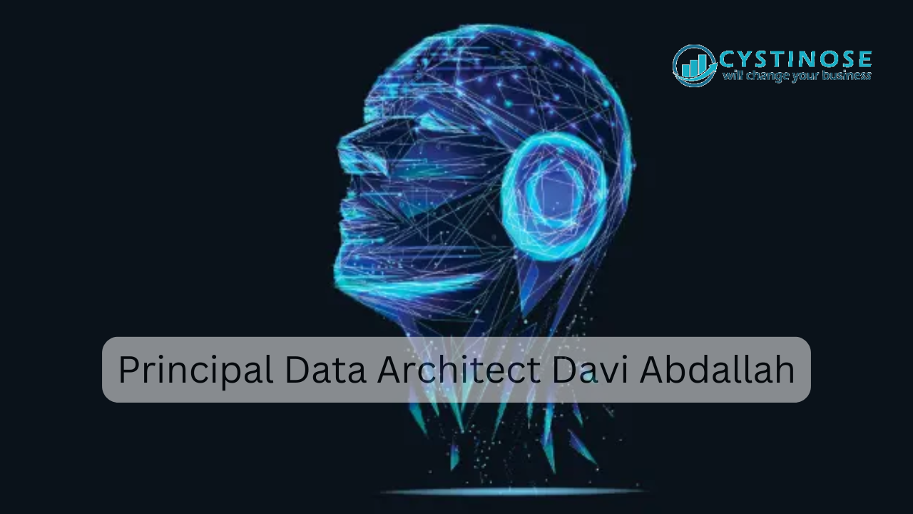 principal data architect davi abdallah